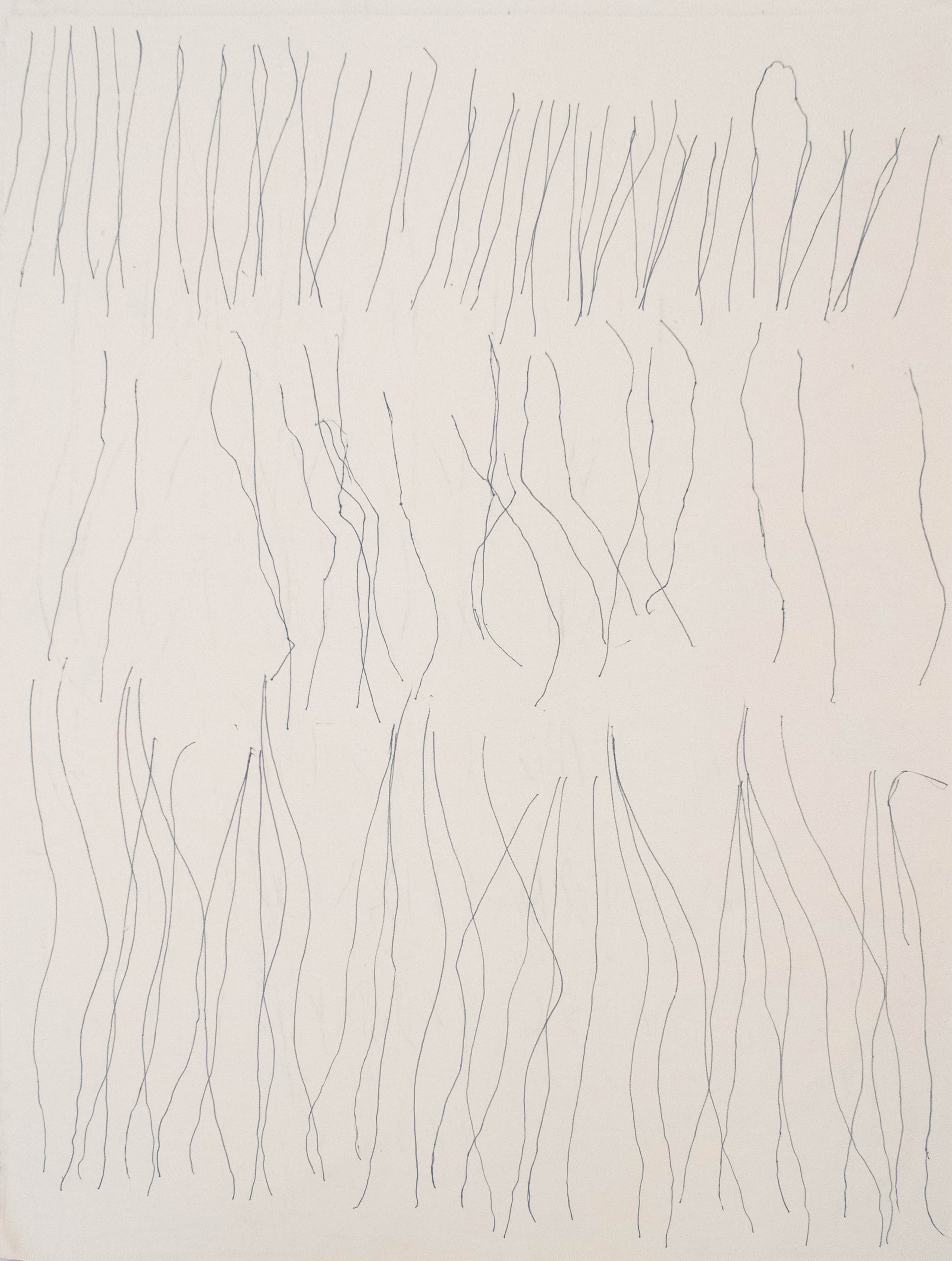 150x200cm, body in movement deliniated with a permanent marker on cotton